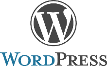 Increase Your Sales with the ProNetUSA are WordPress Experts